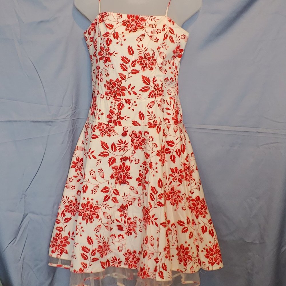 City Triangles Red flower crinoline dress